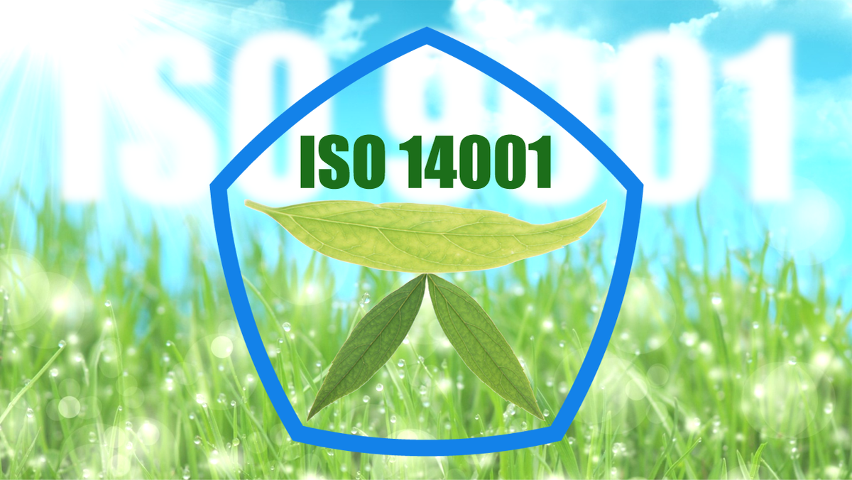 ISO 14001 — баланс экологии и качества.